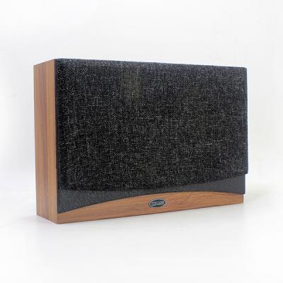 DSP225NM Teaching Speaker