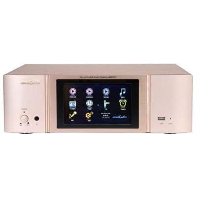 system central smart audio